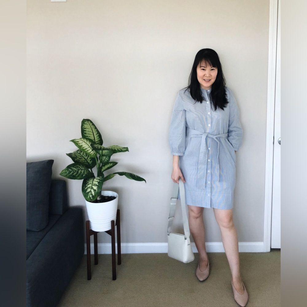 NEW Everlane The Cotton Weave Collarless
Shirtdress Size 10